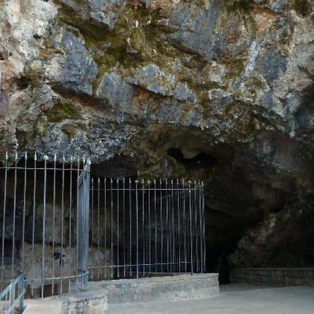 Agriturismo Al Gallo Verde Altavilla Silentina Eksteriør billede