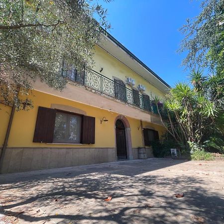 Agriturismo Al Gallo Verde Altavilla Silentina Eksteriør billede
