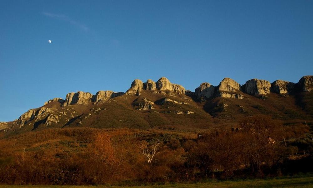 Agriturismo Al Gallo Verde Altavilla Silentina Eksteriør billede