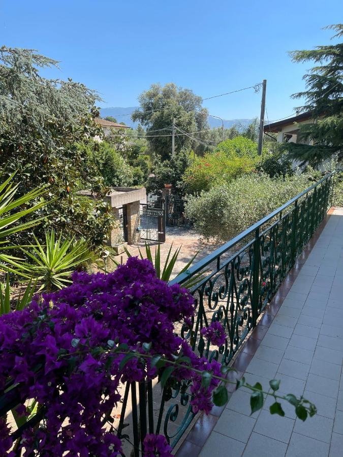 Agriturismo Al Gallo Verde Altavilla Silentina Eksteriør billede