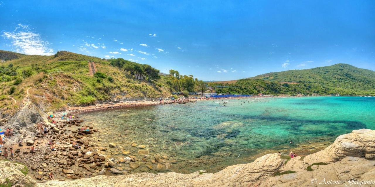 Agriturismo Al Gallo Verde Altavilla Silentina Eksteriør billede
